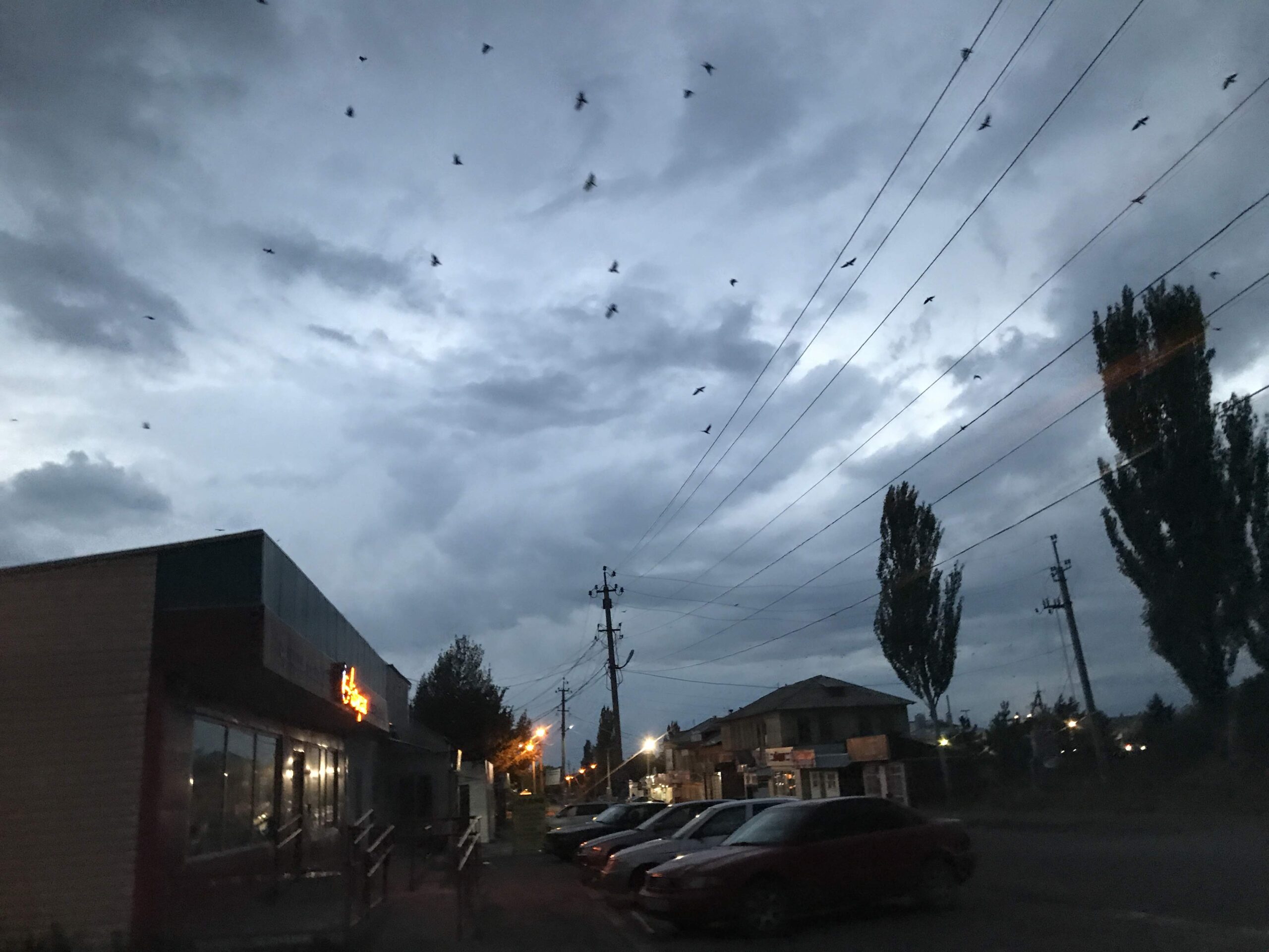 不気味なカラス